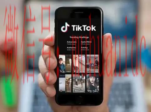 tiktok账号购买平台