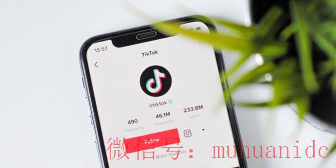 tiktok账号购买平台