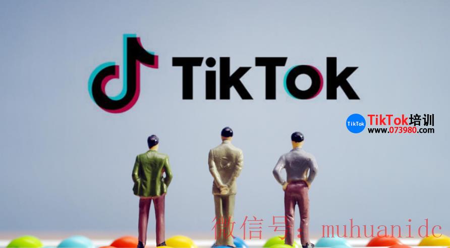 tiktok账号购买平台