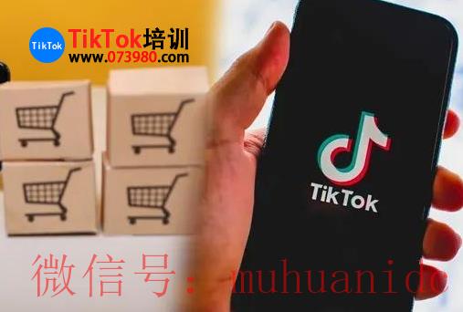 tiktok账号购买平台