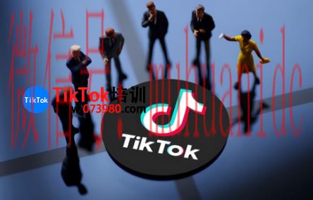 tiktok账号购买平台