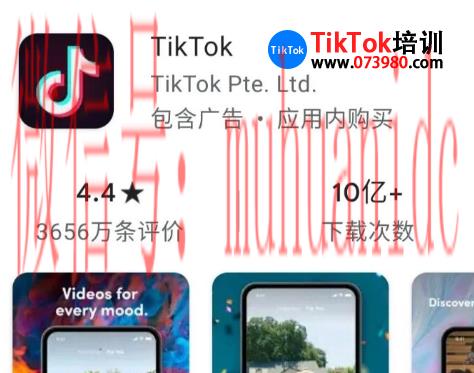 tiktok账号购买平台