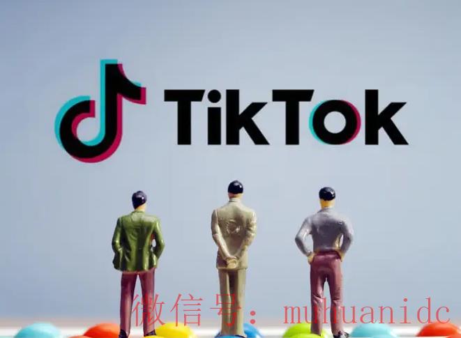 tiktok账号购买平台