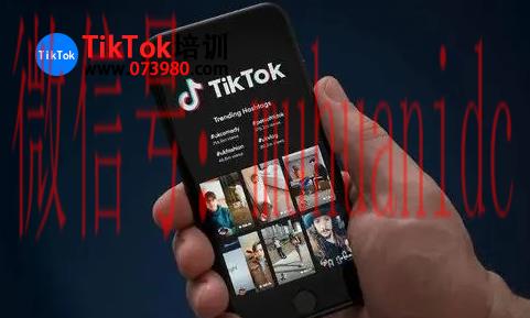 tiktok账号购买平台