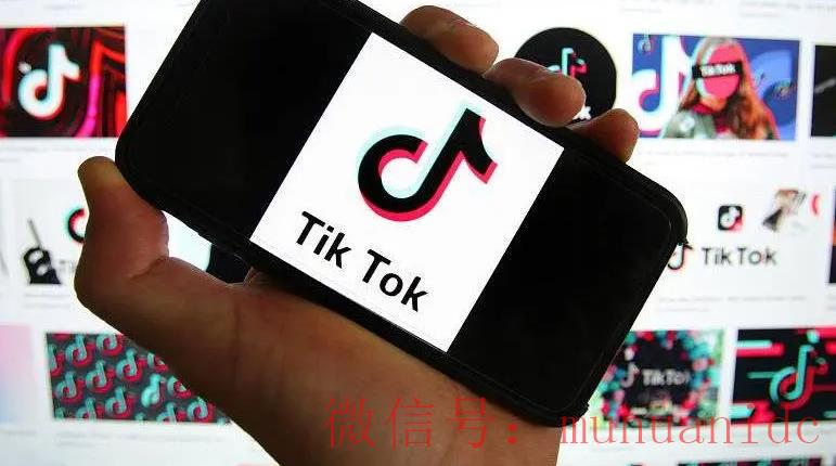 tiktok账号购买平台