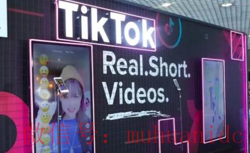 tiktok账号购买平台