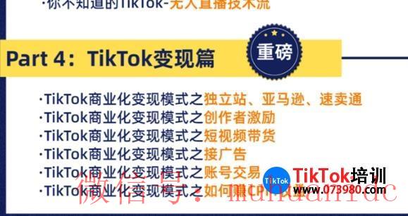 TikTok账号购买平台示例图