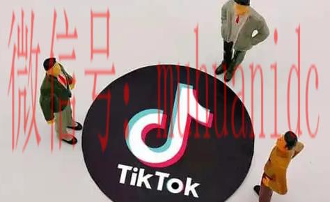 tiktok账号购买平台