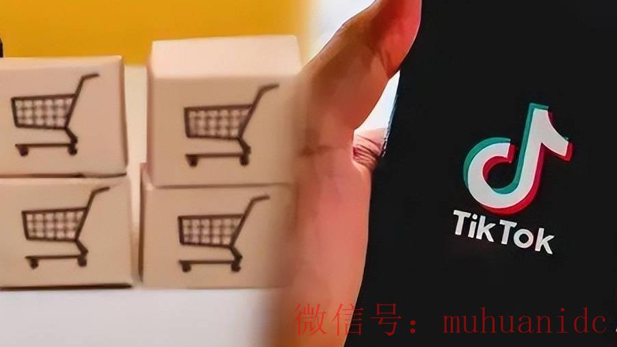 tiktok账号购买平台