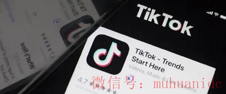 tiktok账号购买平台