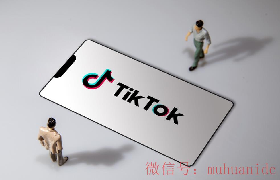 tiktok账号购买平台