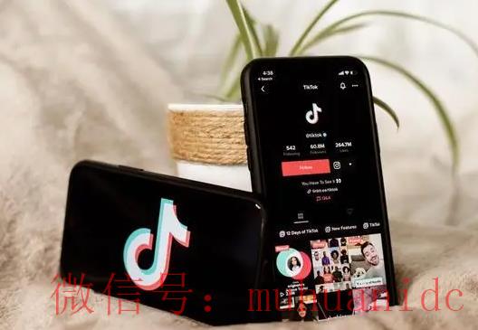 tiktok账号购买平台