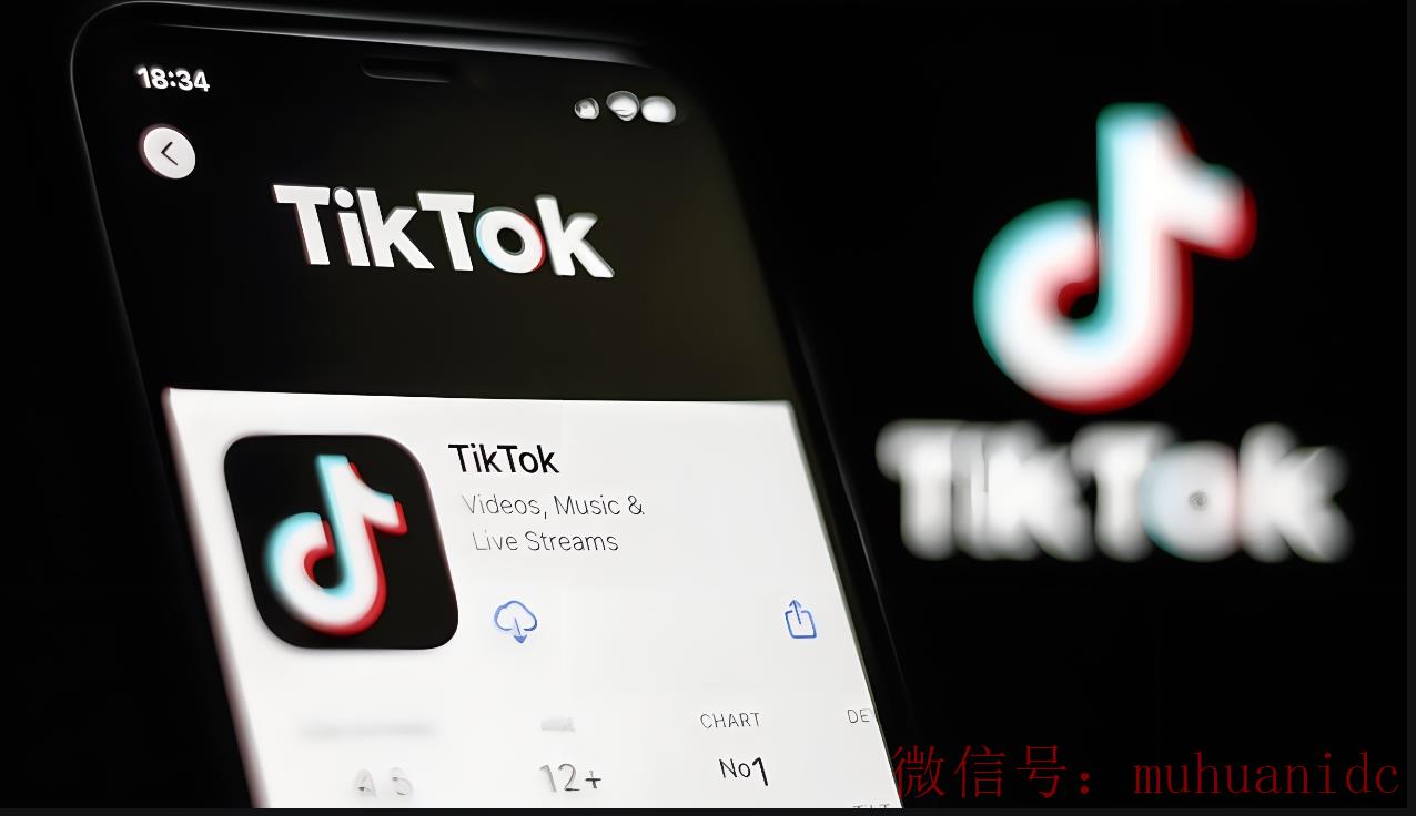 tiktok账号购买平台