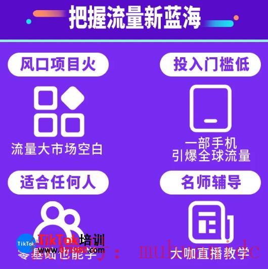 tiktok账号购买平台