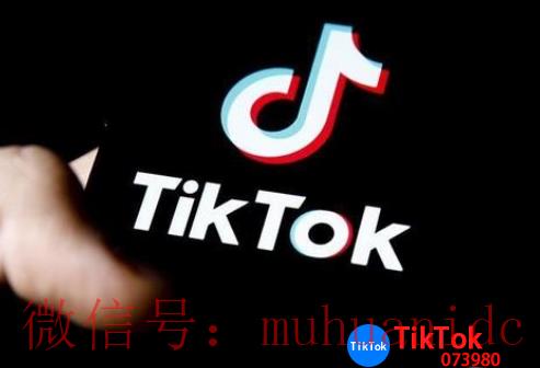 tiktok账号购买平台