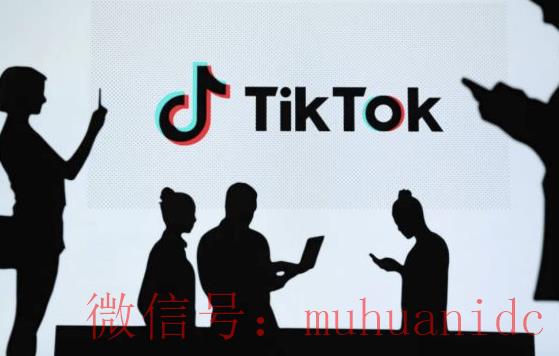 tiktok账号购买平台