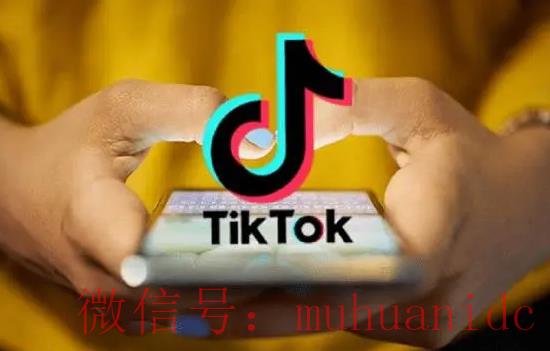 tiktok账号购买平台