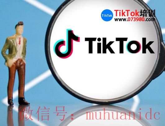 TikTok账号购买平台