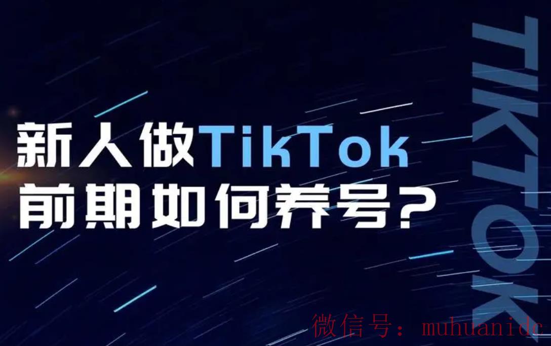 tiktok账号购买平台