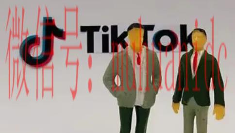 tiktok账号购买平台