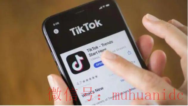 tiktok账号购买平台