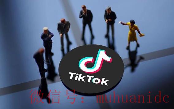 tiktok账号购买平台