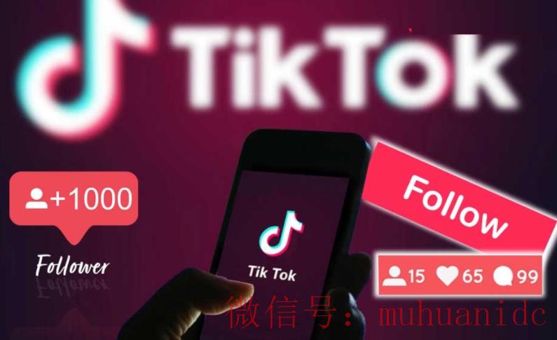 tiktok账号购买平台