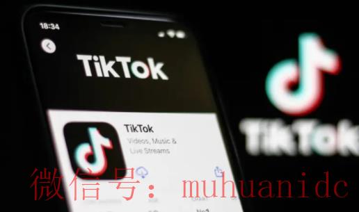 tiktok账号购买平台