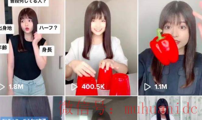 TikTok账号购买平台