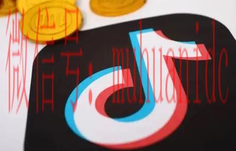 tiktok账号购买平台