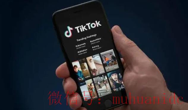 tiktok账号购买平台