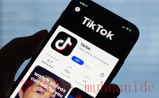 tiktok账号购买平台