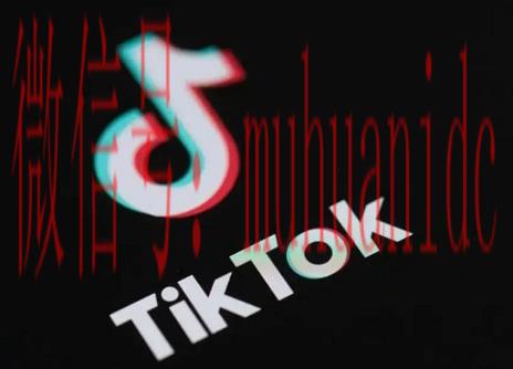 tiktok账号购买平台