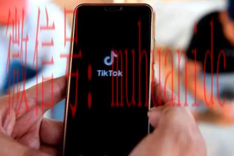 tiktok账号购买平台