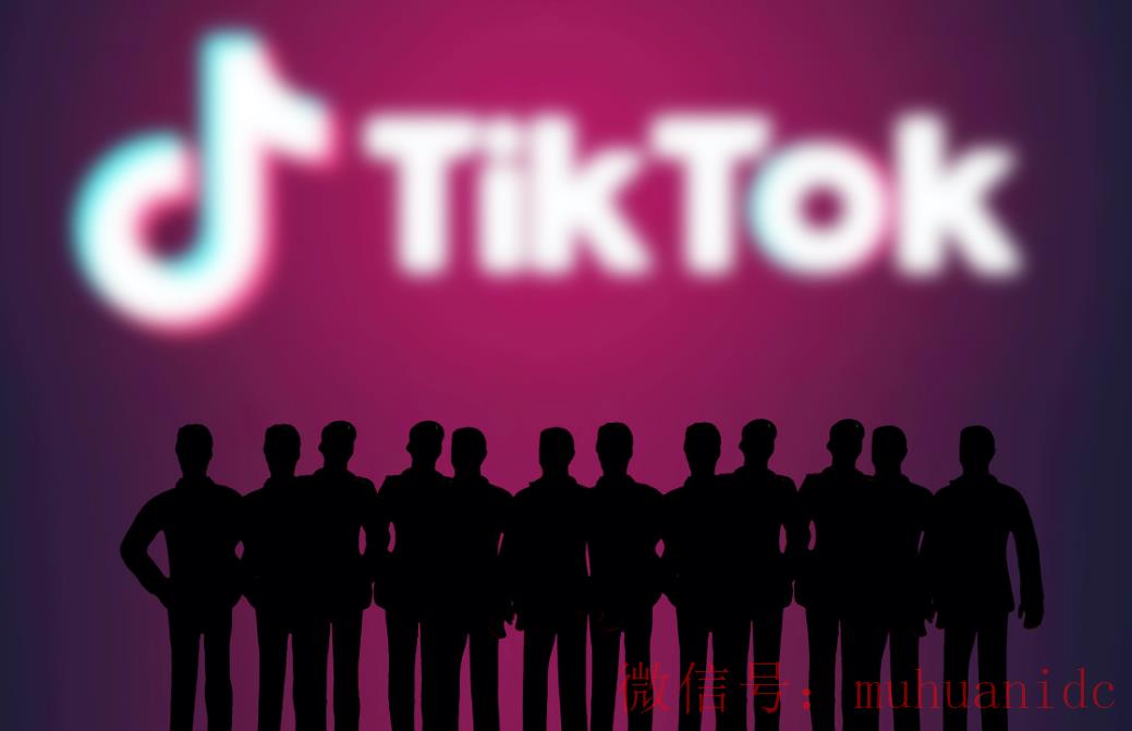 tiktok账号购买平台