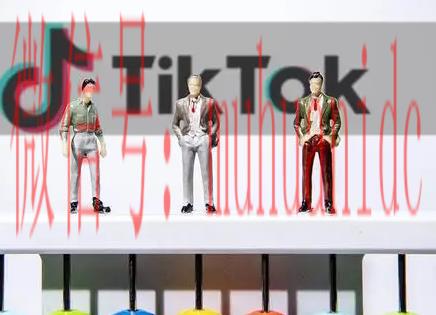 tiktok账号购买平台