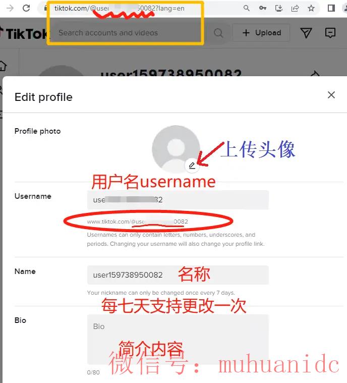 tiktok账号购买平台