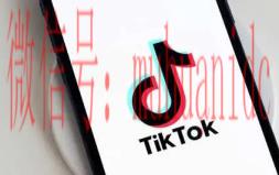 tiktok账号购买平台