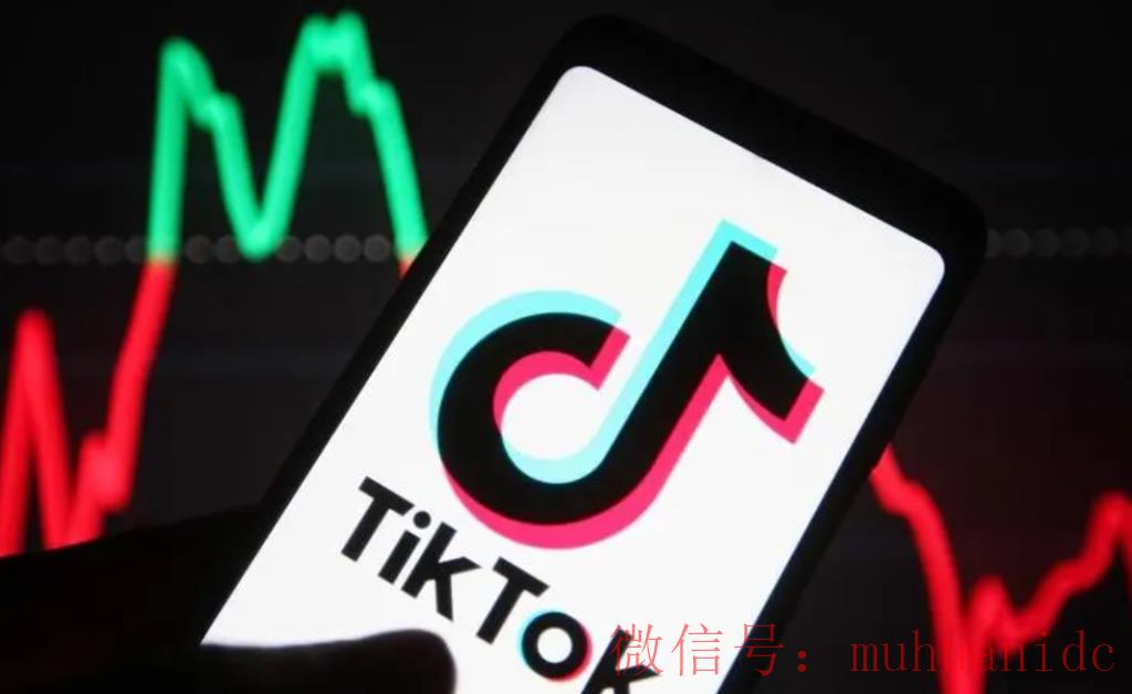 tiktok账号购买平台