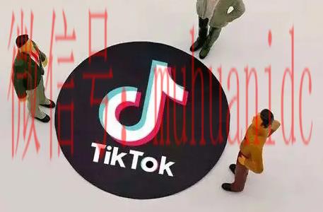 tiktok账号购买平台