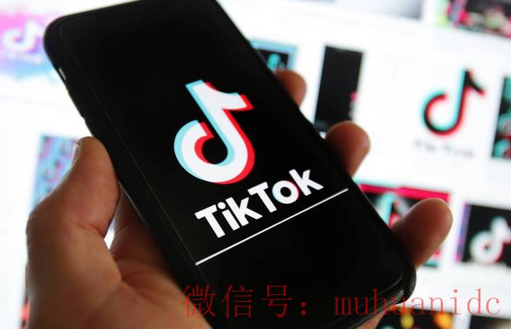 tiktok账号购买平台