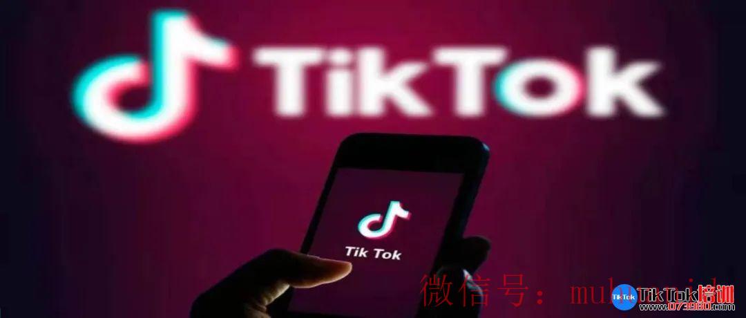 tiktok账号购买平台