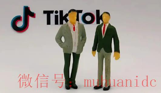 tiktok账号购买平台
