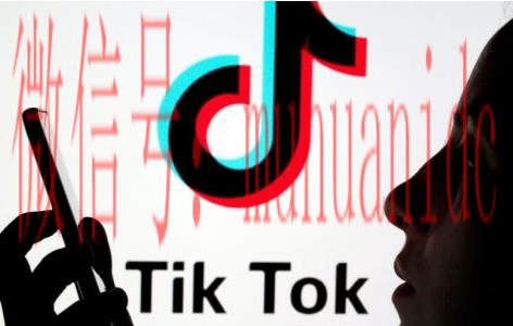 tiktok账号购买平台