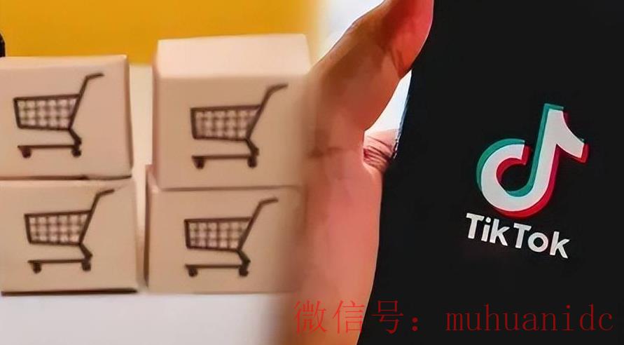 tiktok账号购买平台