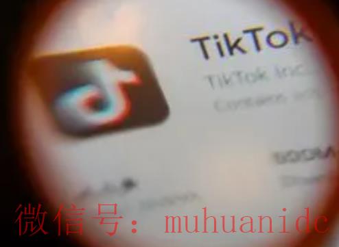 tiktok账号购买平台