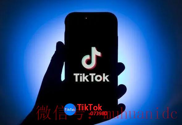 tiktok账号购买平台
