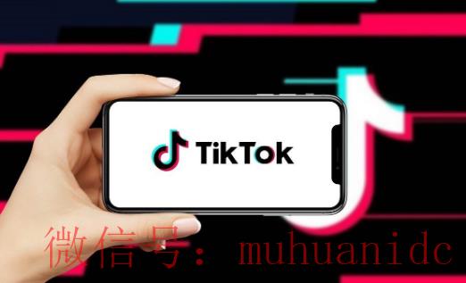 tiktok账号购买平台