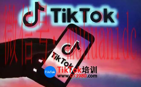 tiktok账号购买平台