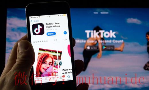 tiktok账号购买平台